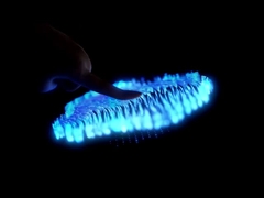 Heng Cheng Electronics Technology (HK) Co., Ltd.